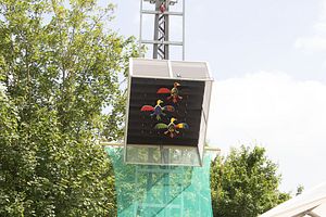 IMG_0787
