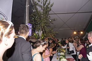 IMG_1421
