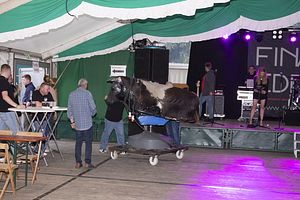 IMG_1085